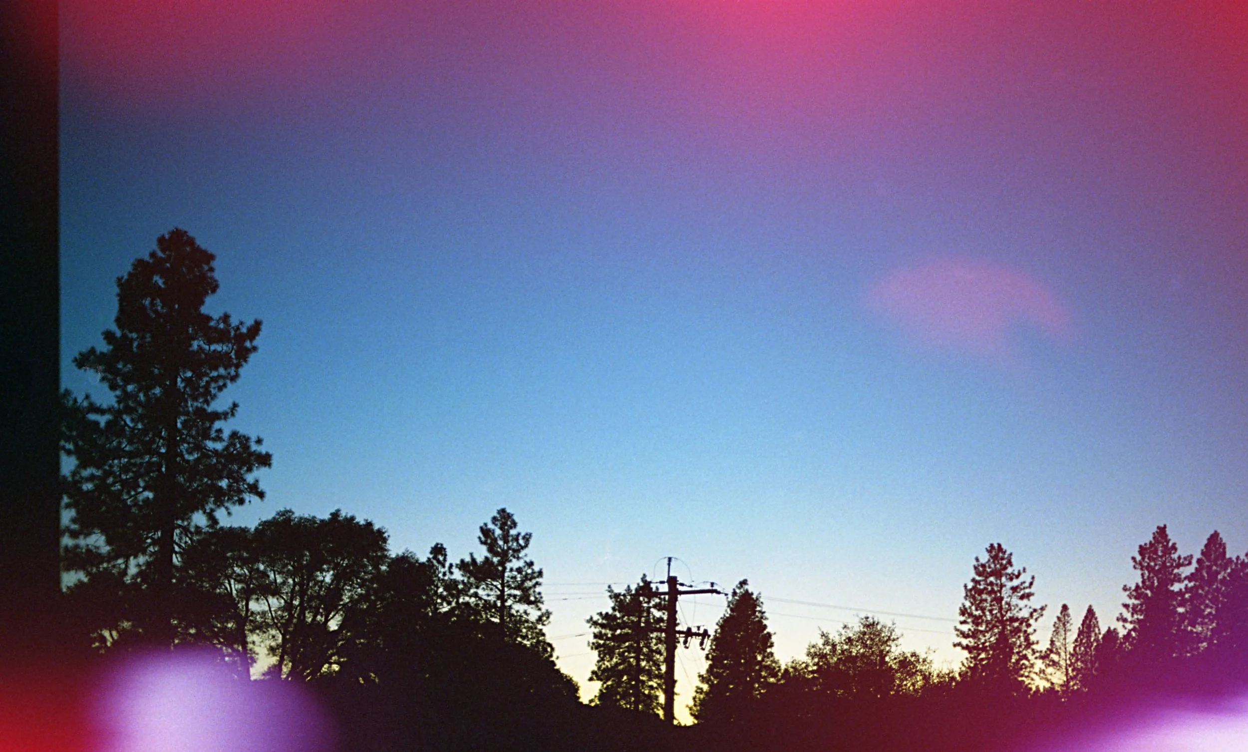 trees in distance