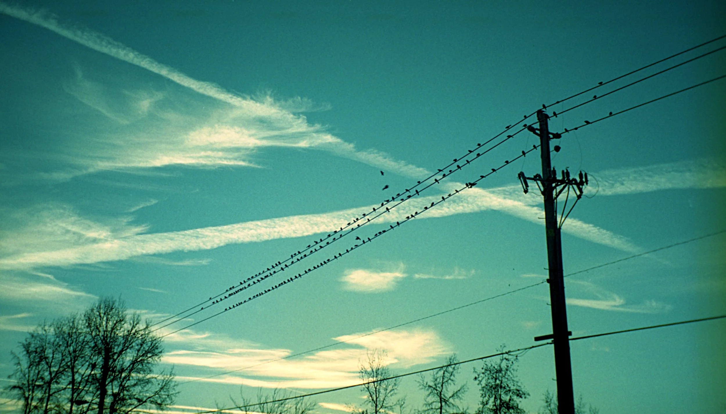A large group of birds sitting on a telephone line with clouds in the background. Therapy for OCD in Boston, MA is here to support you with breaking the cycle. If you struggle with ruminating, reach out today.