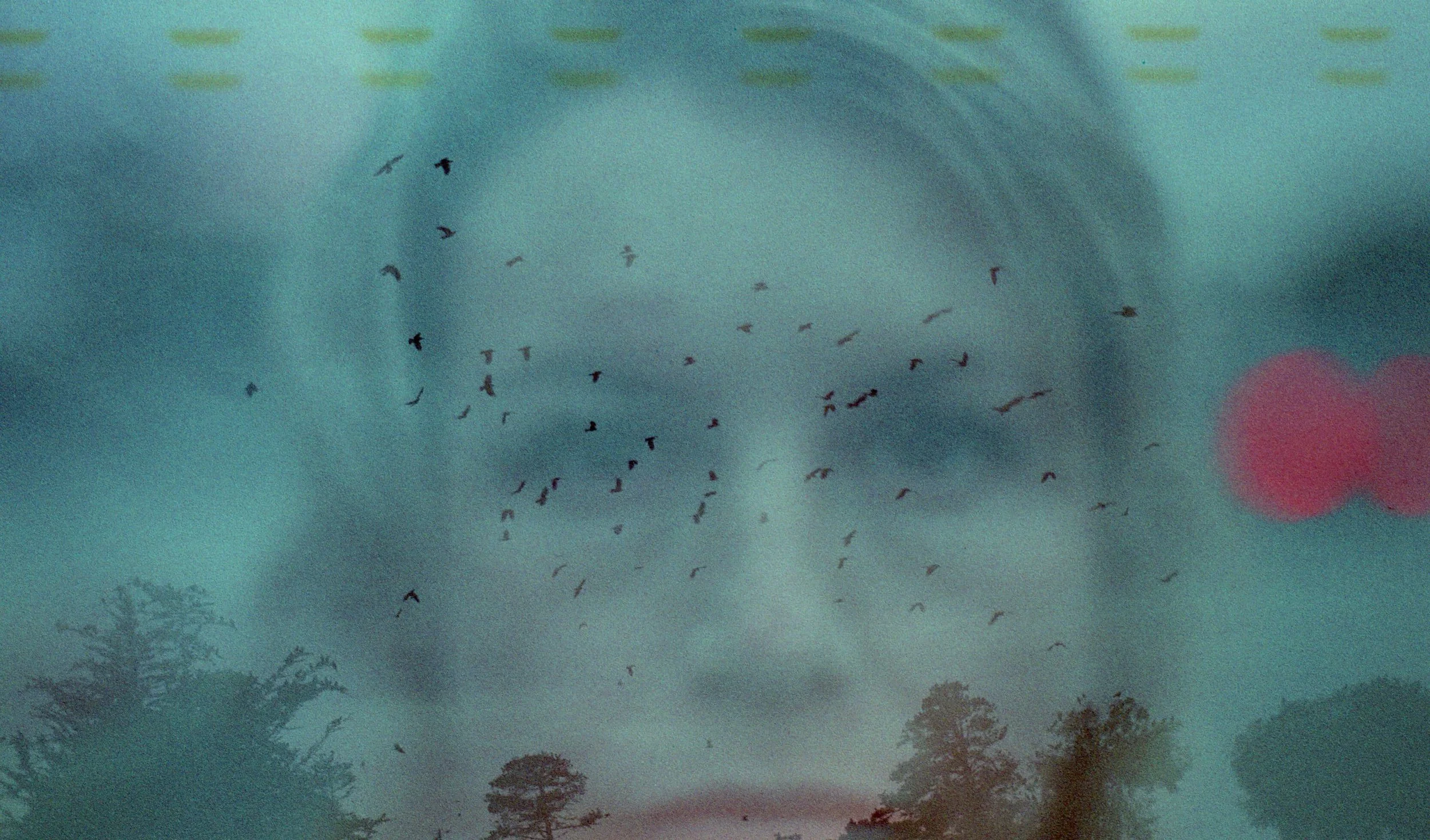 An image of birds flying overlayed on a picture of a woman. OCD recovery is possible & a supportive OCD therapist in San Diego, CA can help you get there. Learn more here.