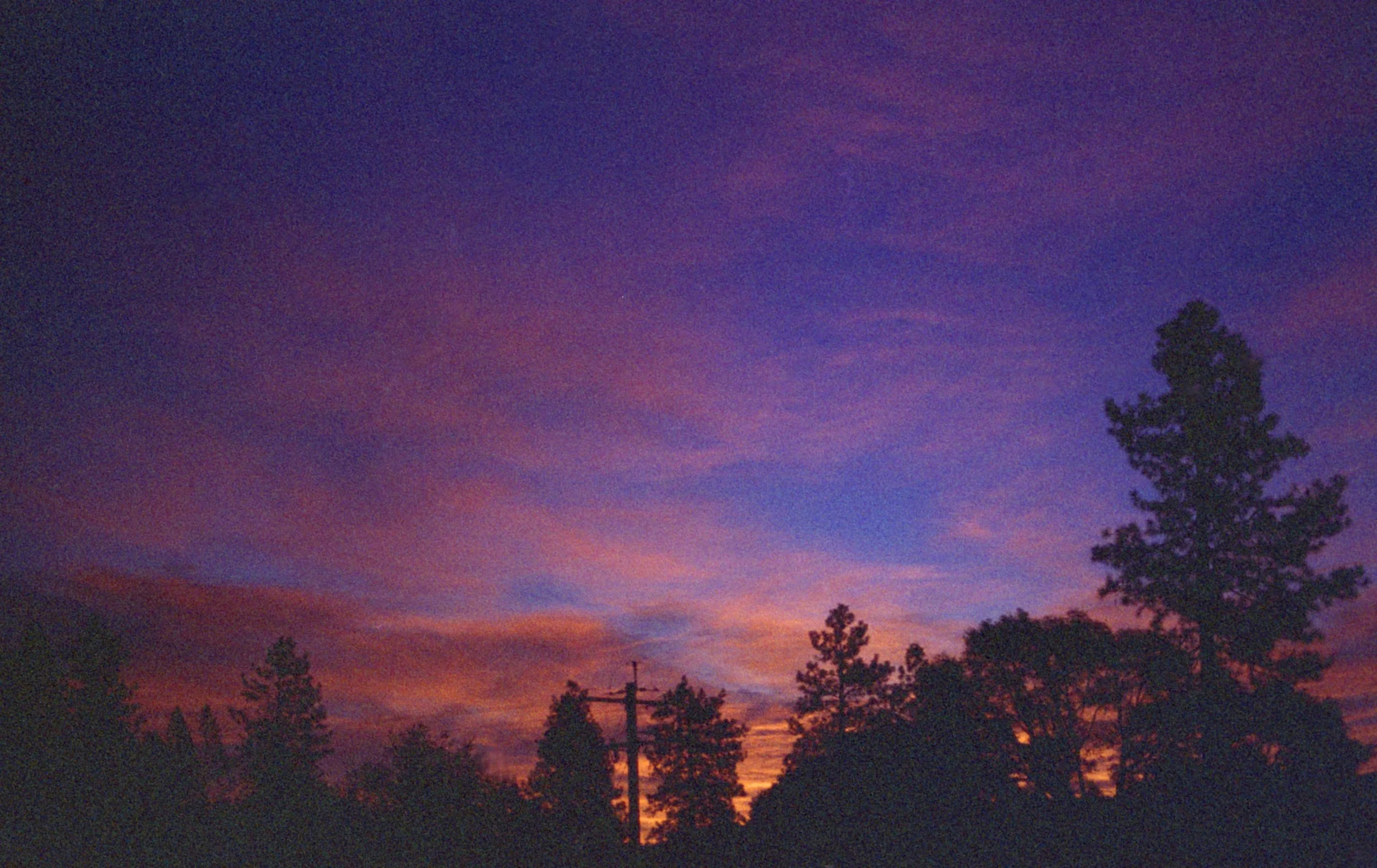 A purple & orange sunset with silhouettes of pine trees. ICBT for OCD in Boston, MA is here to support you with harm OCD & obsessive thoughts. Start your journey today.