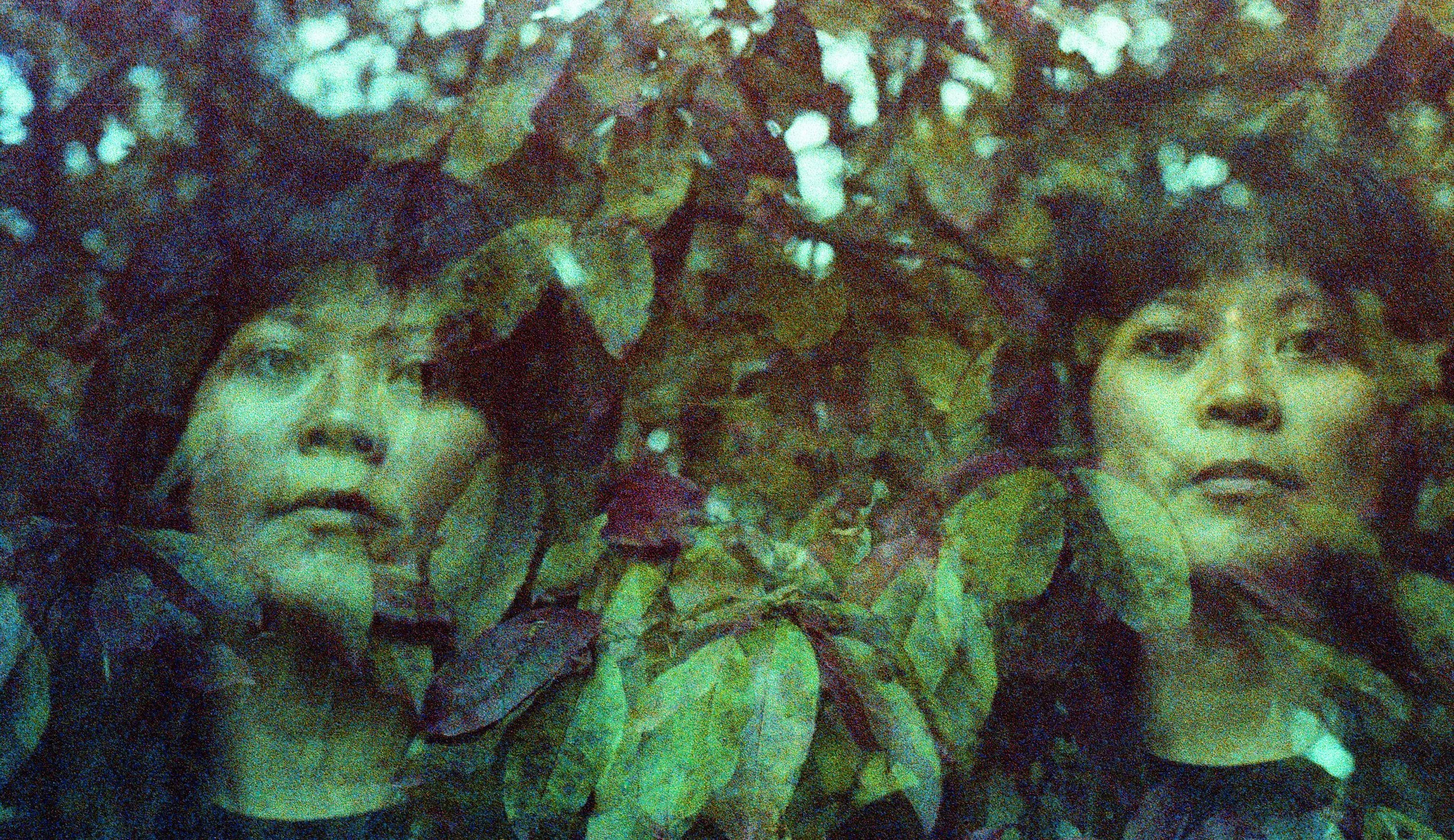 An image of a women with bangs with an overlay of green leaves on top. Explore how OCD therapy in Boston, MA & mindfulness can support your recovery. Learn more about mindfulness here.