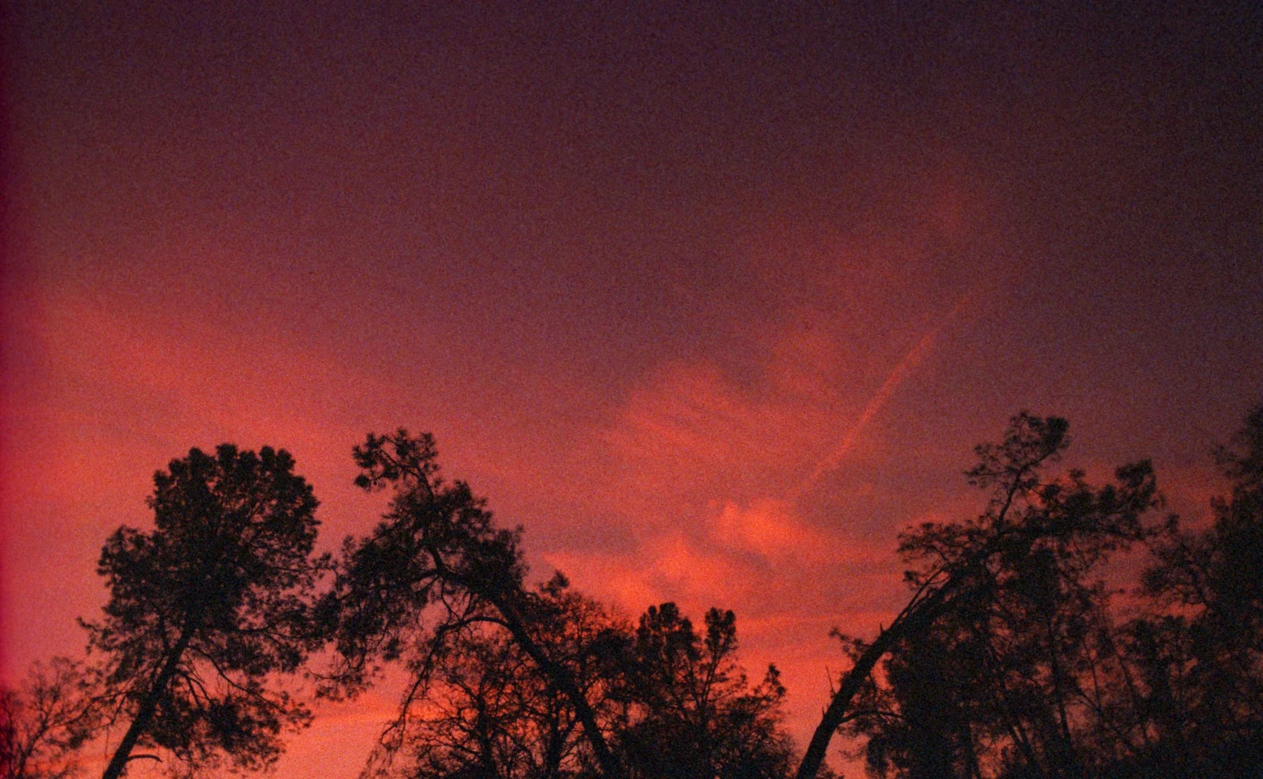 A dark maroon sky with tree silhouettes. Finding the right therapy for OCD in Boston, MA is important & not a one-size-fits-all approach. Learn more here.