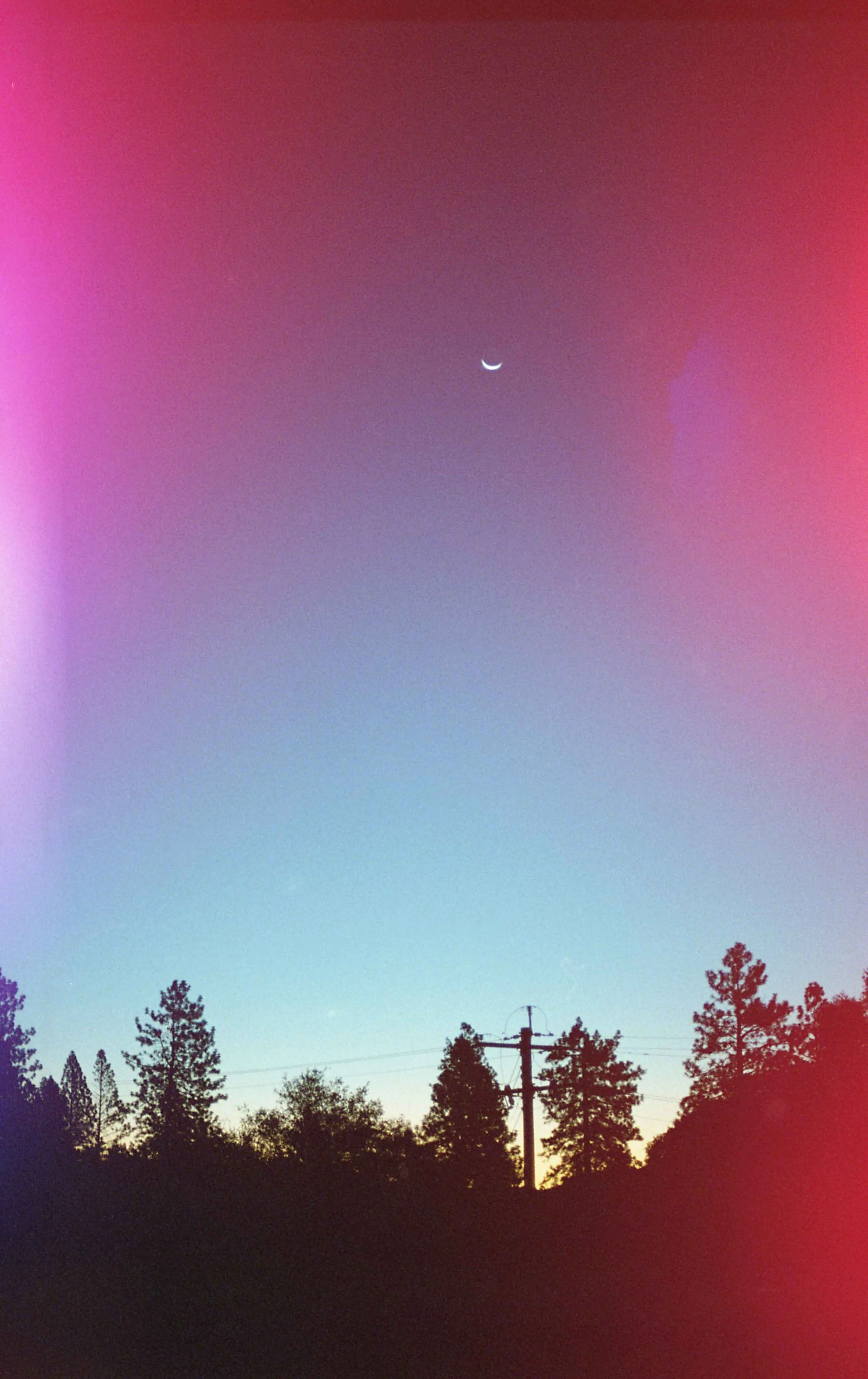A pink hued photo of the moon & tree silohuettes in the distance. OCD counseling in Boston, MA is here to support you with taboo-themed OCD. Get started with ICBT today.