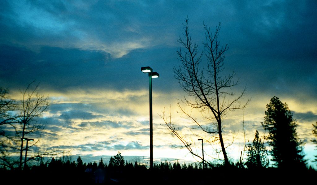 A light pole near bare branches & pine trees in a dark moody sky. Learn what really happens when you work with an OCD therapist in San Diego, CA by reading my blog here. 