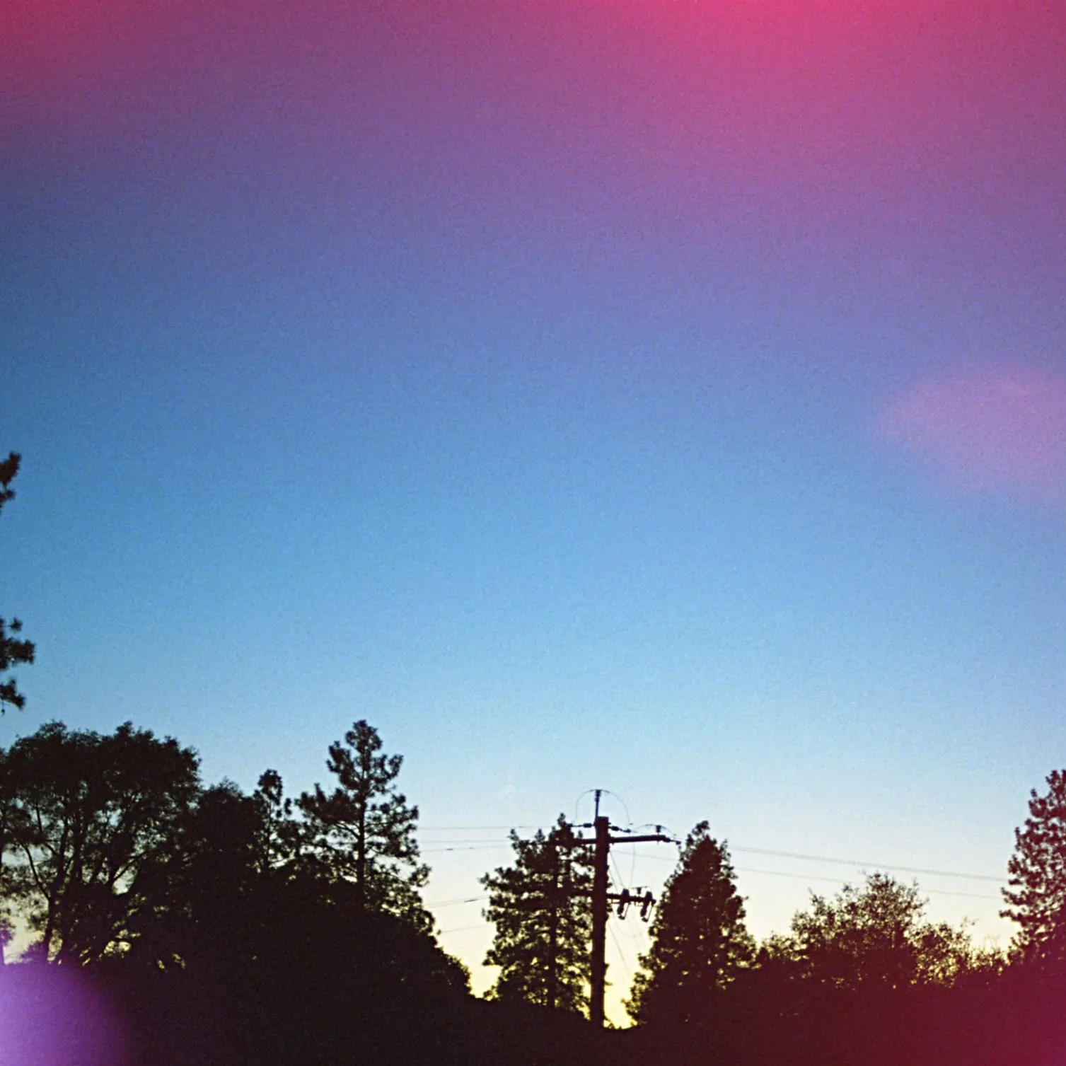 trees in distance
